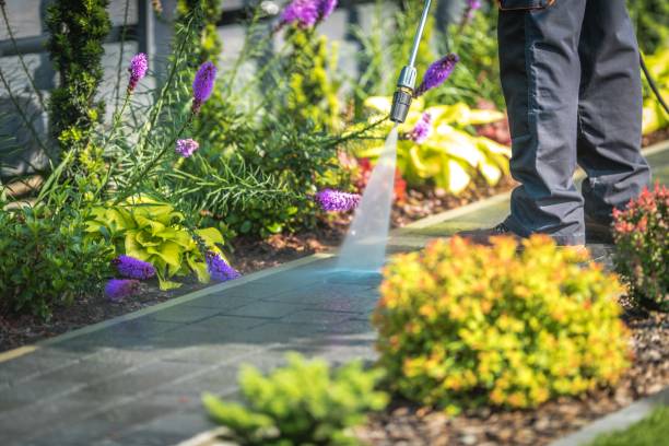 Best Driveway Cleaning and Restoration in Cambria, IL